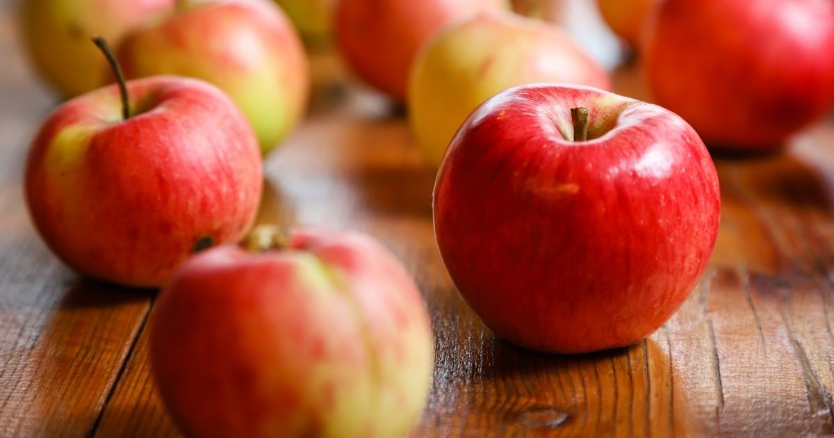 Hands-on apple science activities and experiments for kids