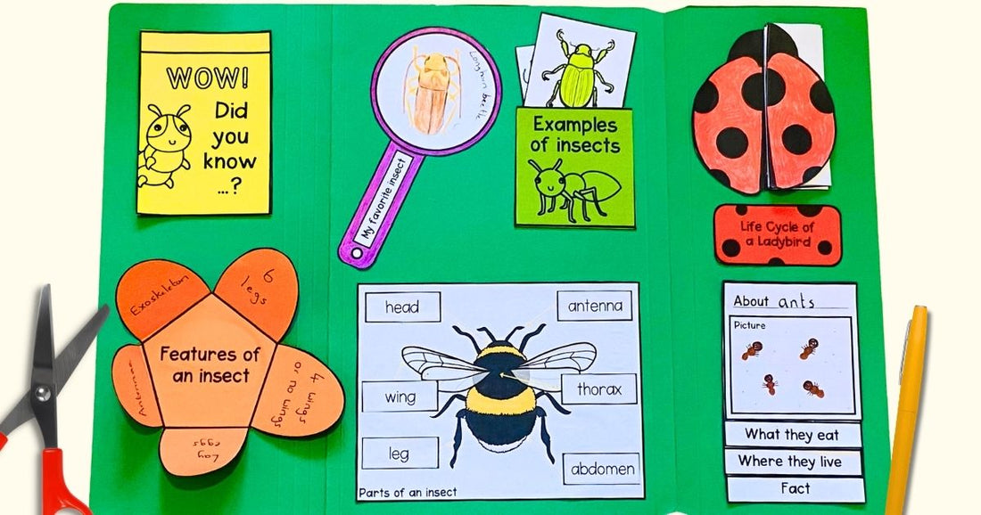 Beyond the worksheet: What are the benefits of using lapbooks in science