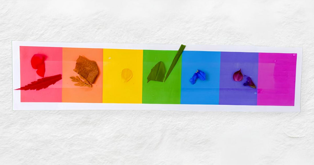 Nature’s colors – rainbow nature scavenger hunt activity for outdoor learning