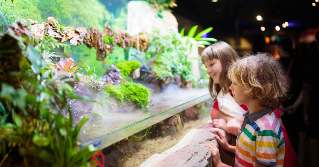 Field trip or school trip reflection questions for children