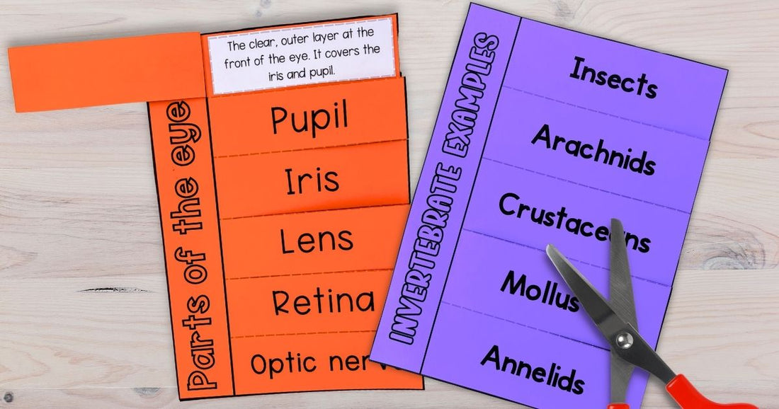 2 examples of lift the flap tab books for science