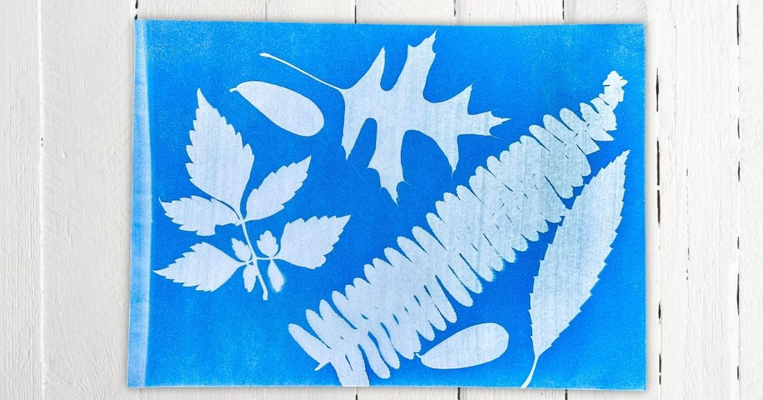 Creating Cyanotype Art Prints With Leaves – A Fun Nature Activity for Kids