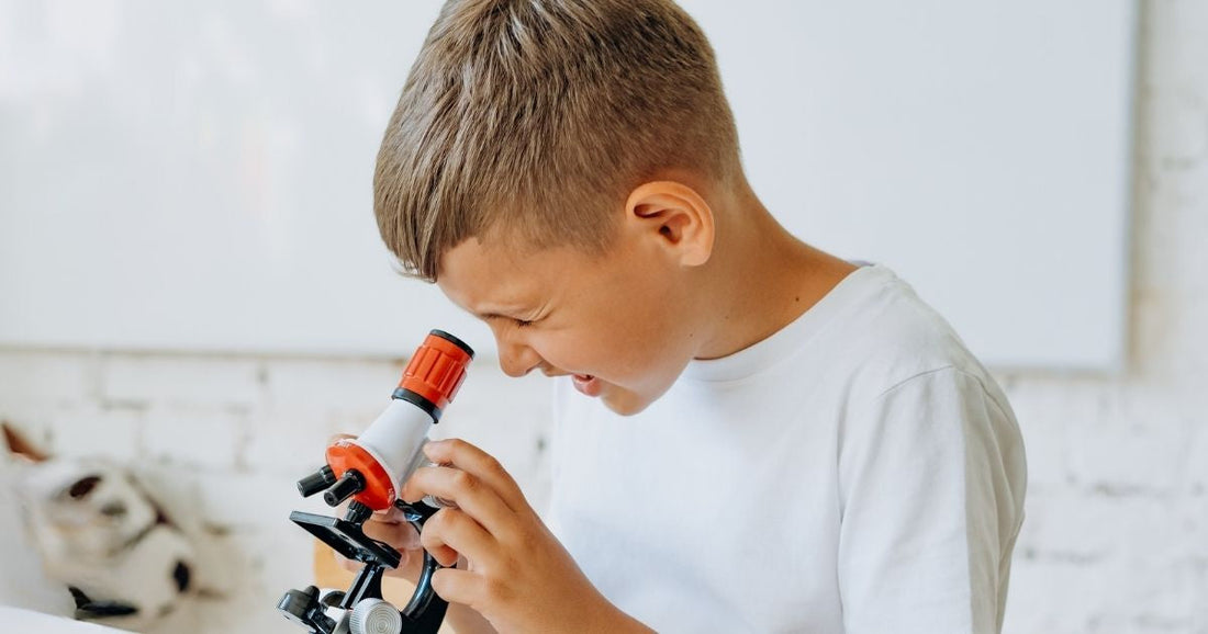 Making child-friendly microscope slides