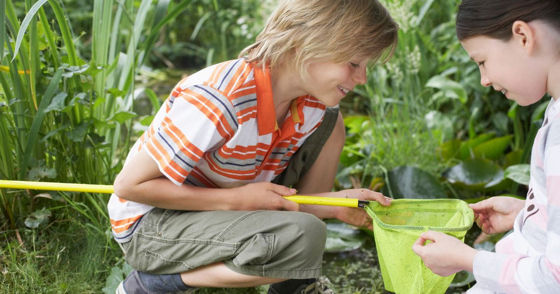 How to run a pond dipping lesson with children
