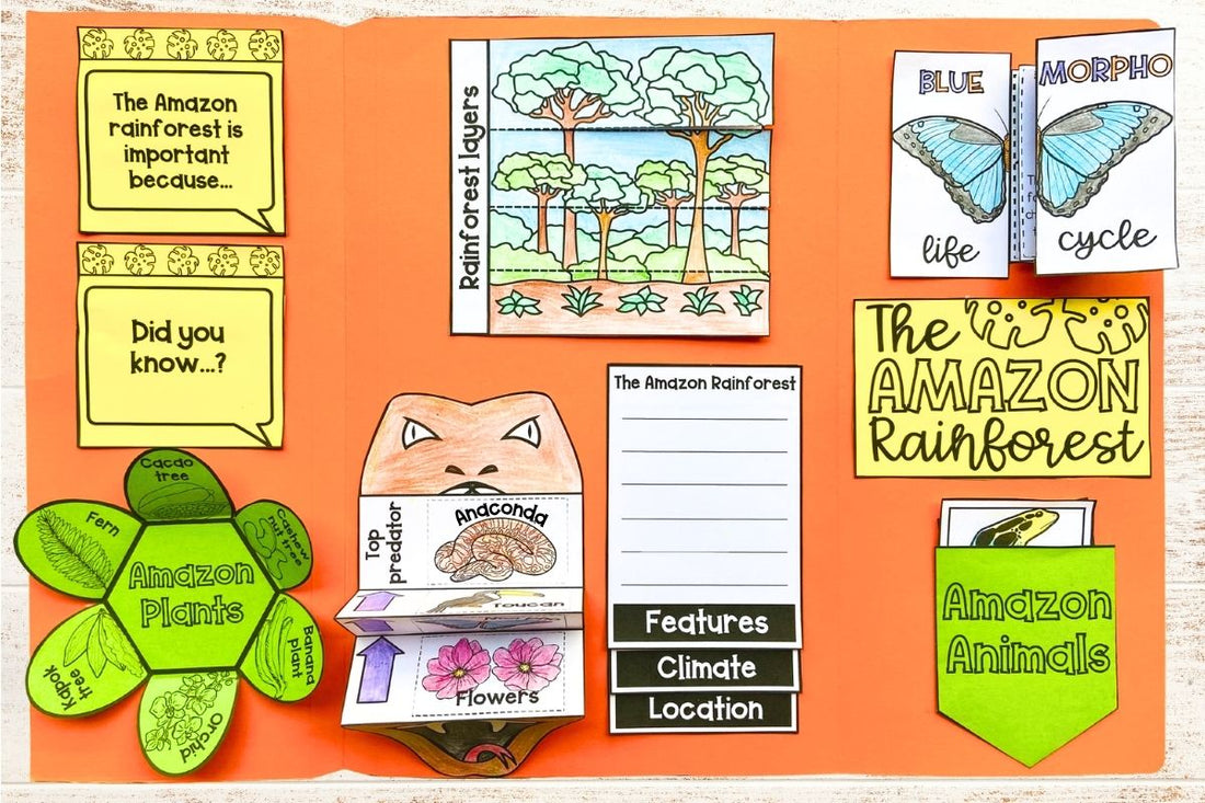 Amazon rainforest lapbook with different interactive componants