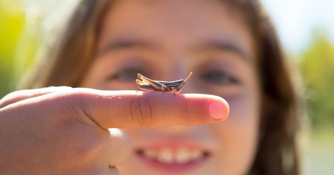Tips for bug hunting with kids
