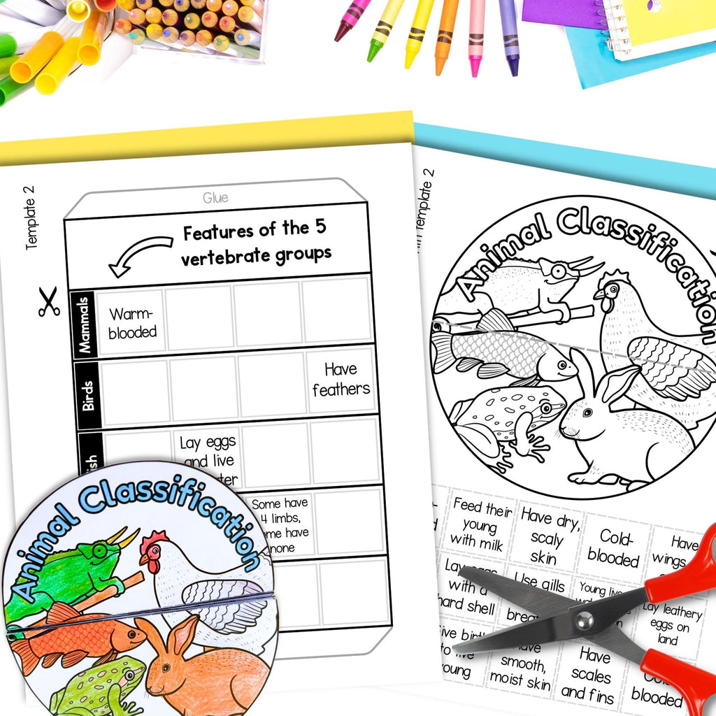 Animal classification groups of living things sorting cut and paste activities