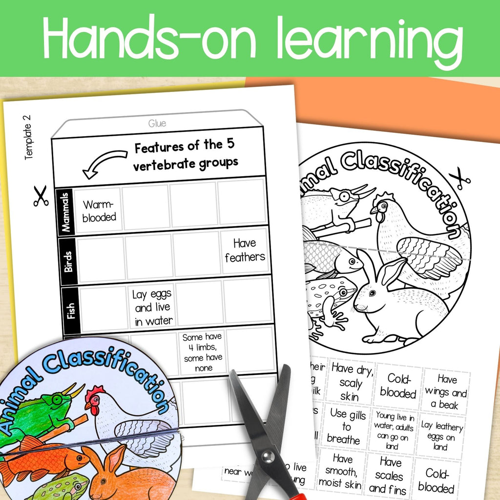 Animal classification groups of living things sorting cut and paste activities