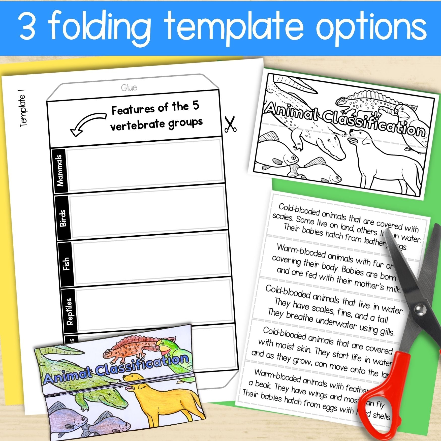 Animal classification groups of living things sorting cut and paste activities