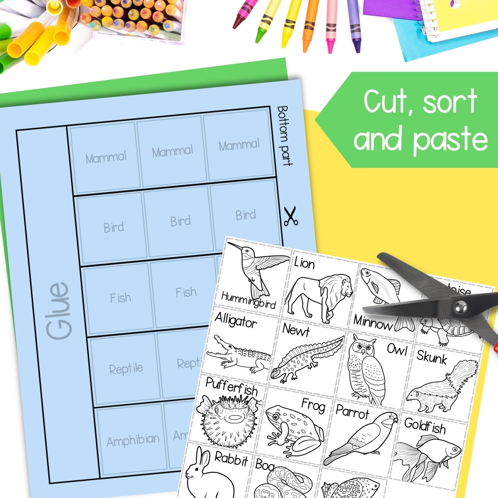 Animal classification groups of living things sorting cut and paste activities