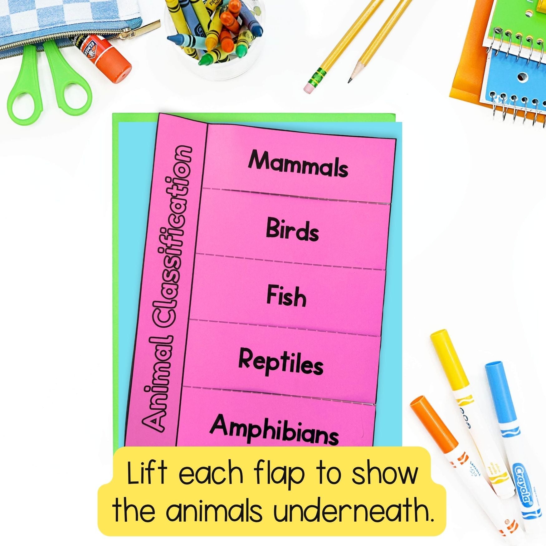 Animal classification groups of living things sorting cut and paste activities