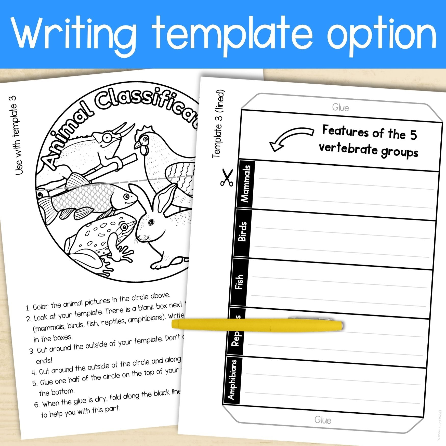 Animal classification groups of living things sorting cut and paste activities