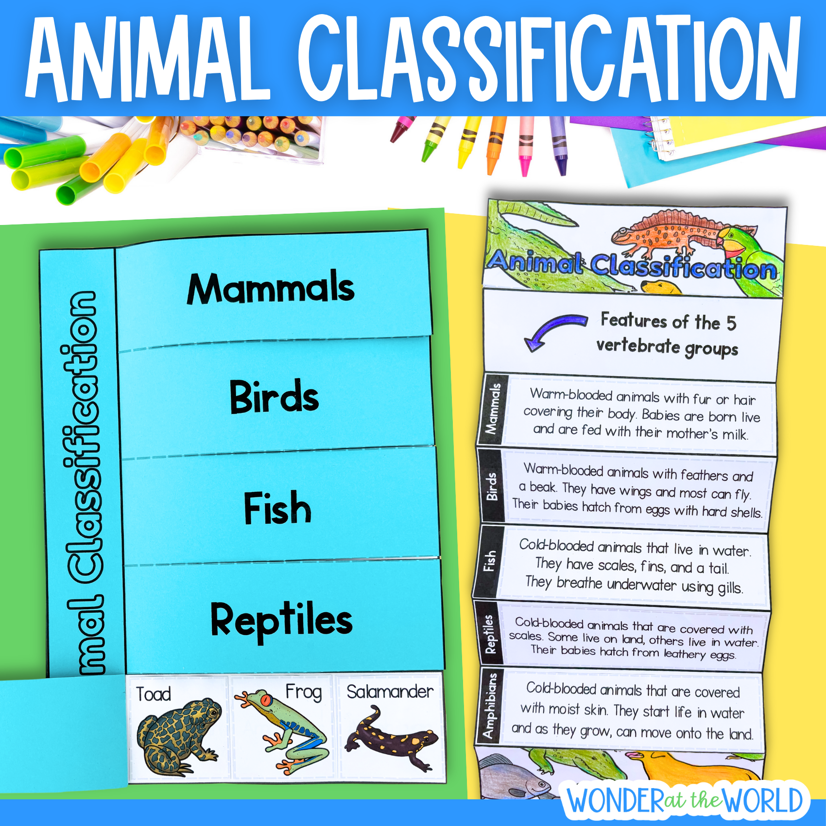 Animal classification groups of living things sorting cut and paste activities