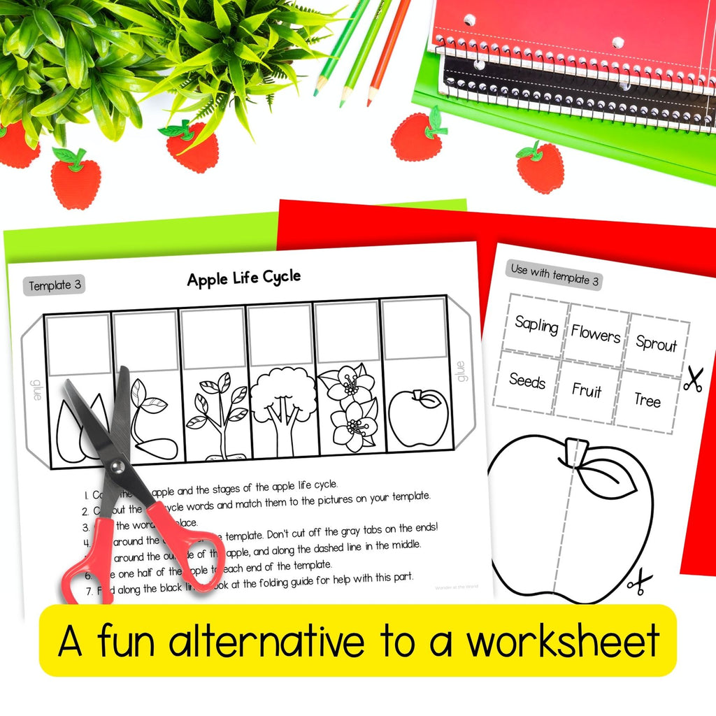 Life cycle of an apple tree sequence and fold science craft activity
