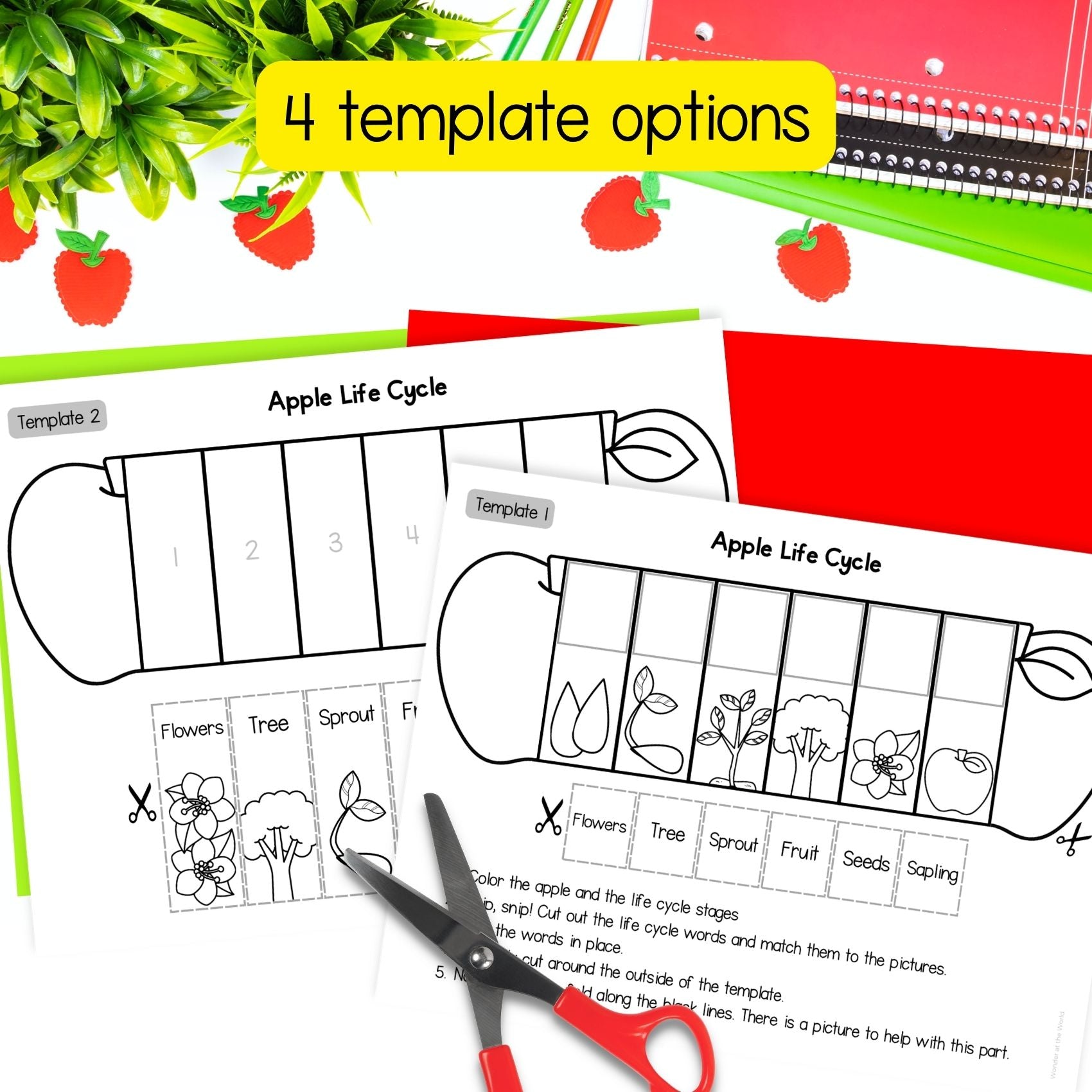 Life cycle of an apple tree sequence and fold science craft activity