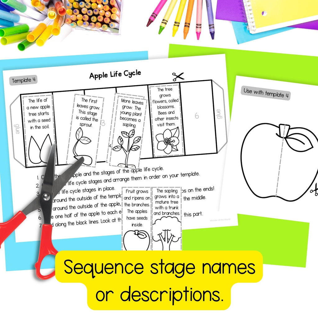 Life cycle of an apple tree sequence and fold science craft activity