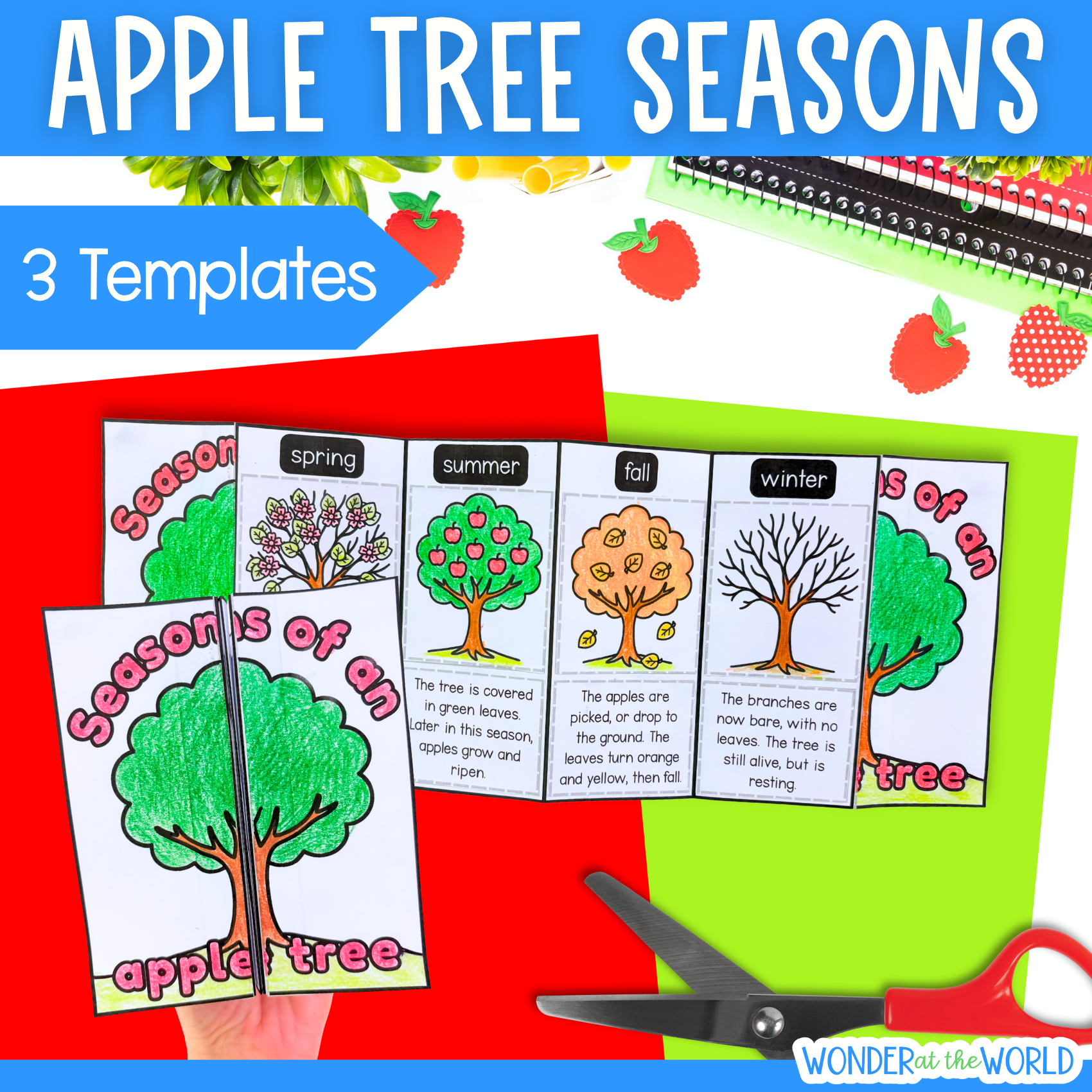 The 4 seasons apple tree science craft activity