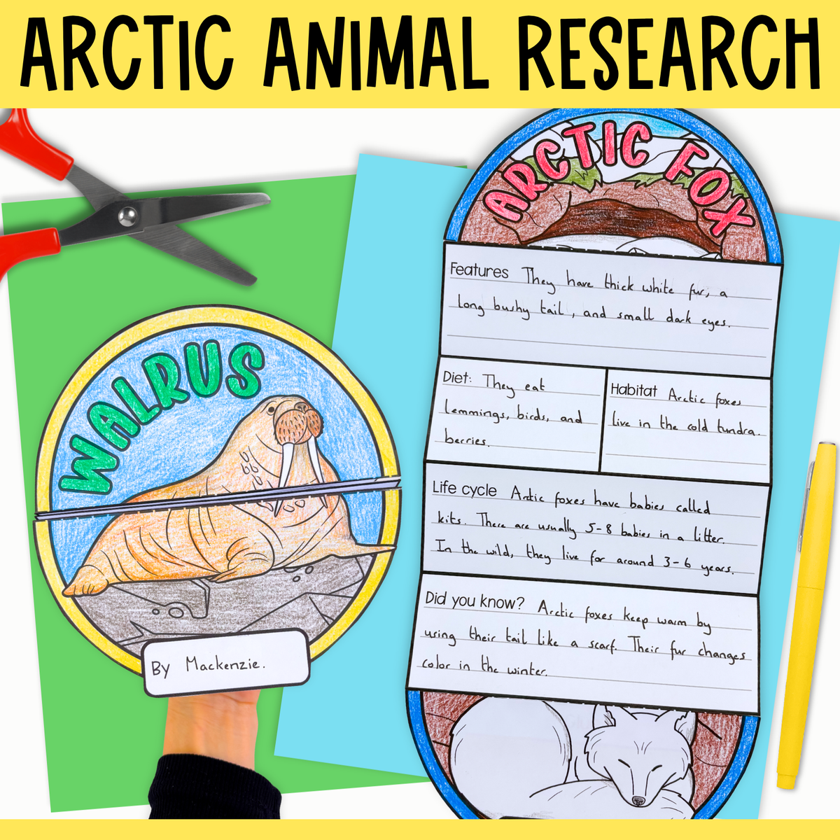 Arctic animals research folding templates writing craft activity