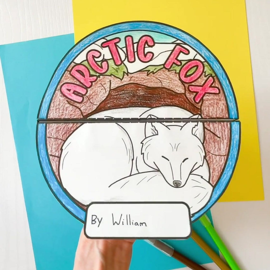 Arctic animals research folding templates writing craft activity