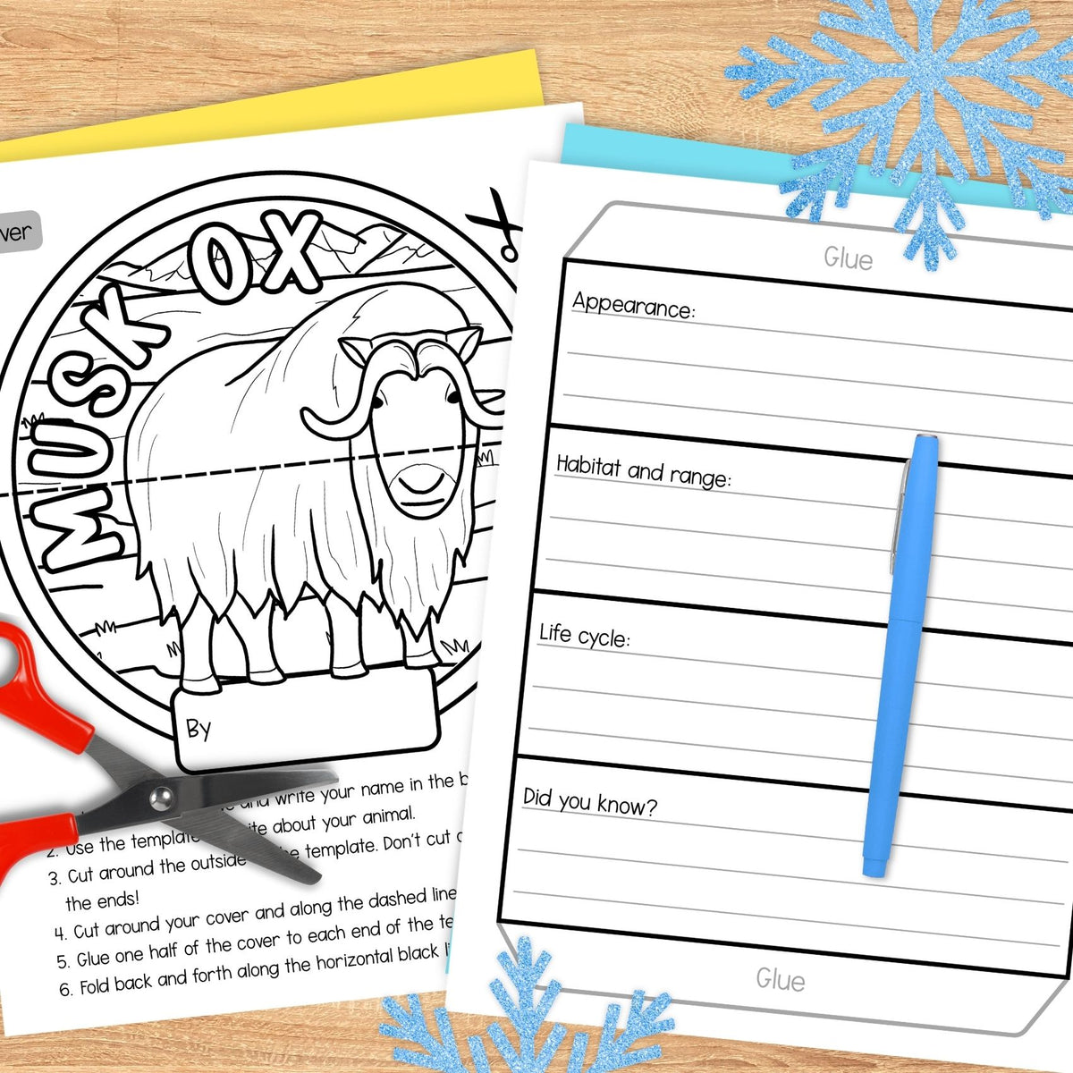 Arctic animals research folding templates writing craft activity