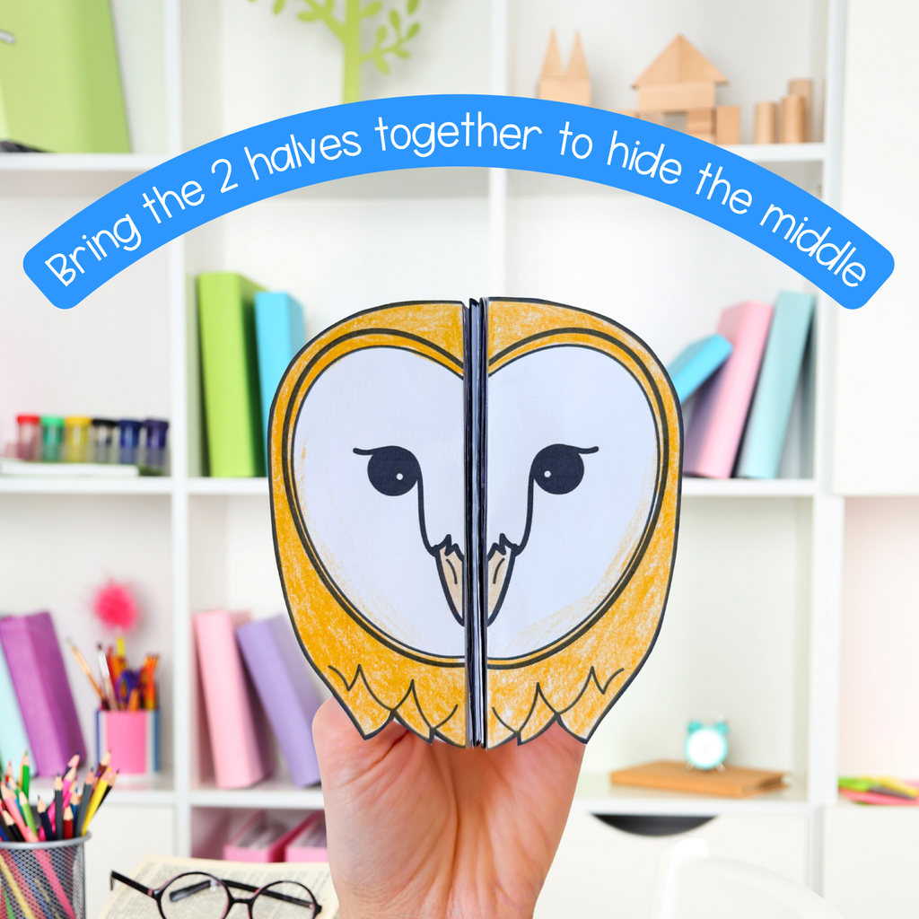 Barn owl life cycle sequence and fold bird science craft activity