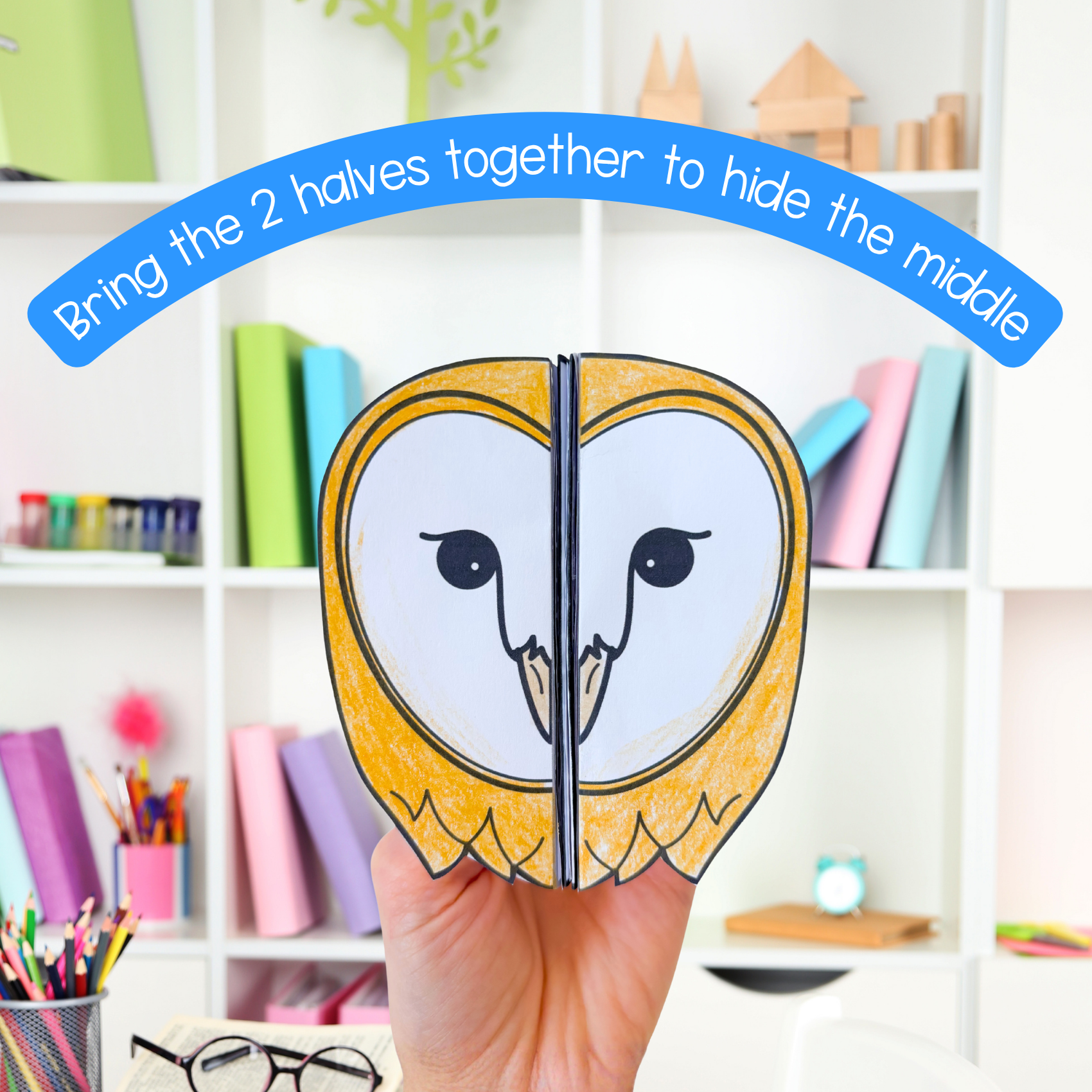 Barn owl life cycle sequence and fold bird science craft activity