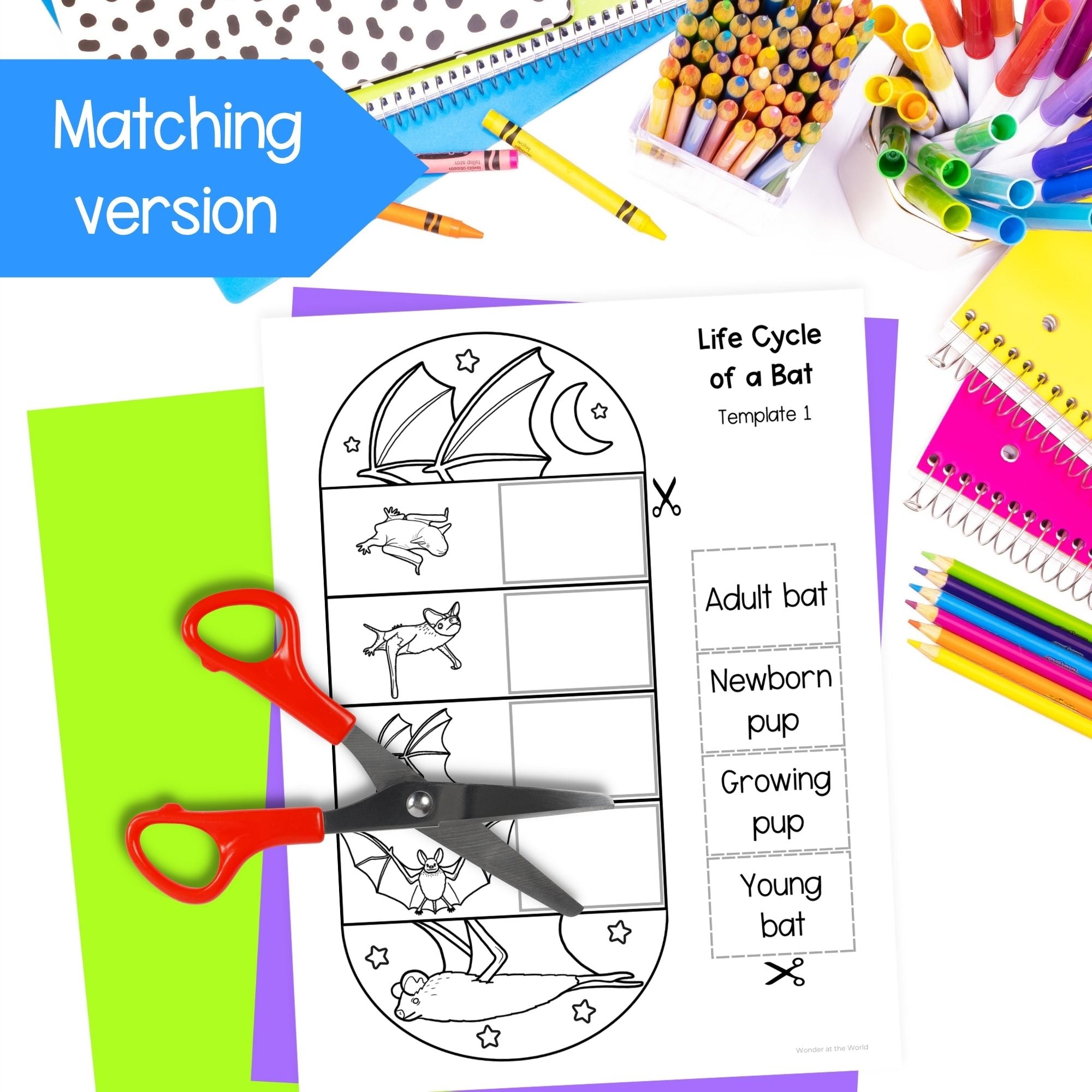Life cycle of a bat mammal sequence and fold science craft activity