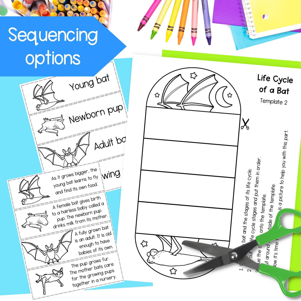 Life cycle of a bat mammal sequence and fold science craft activity