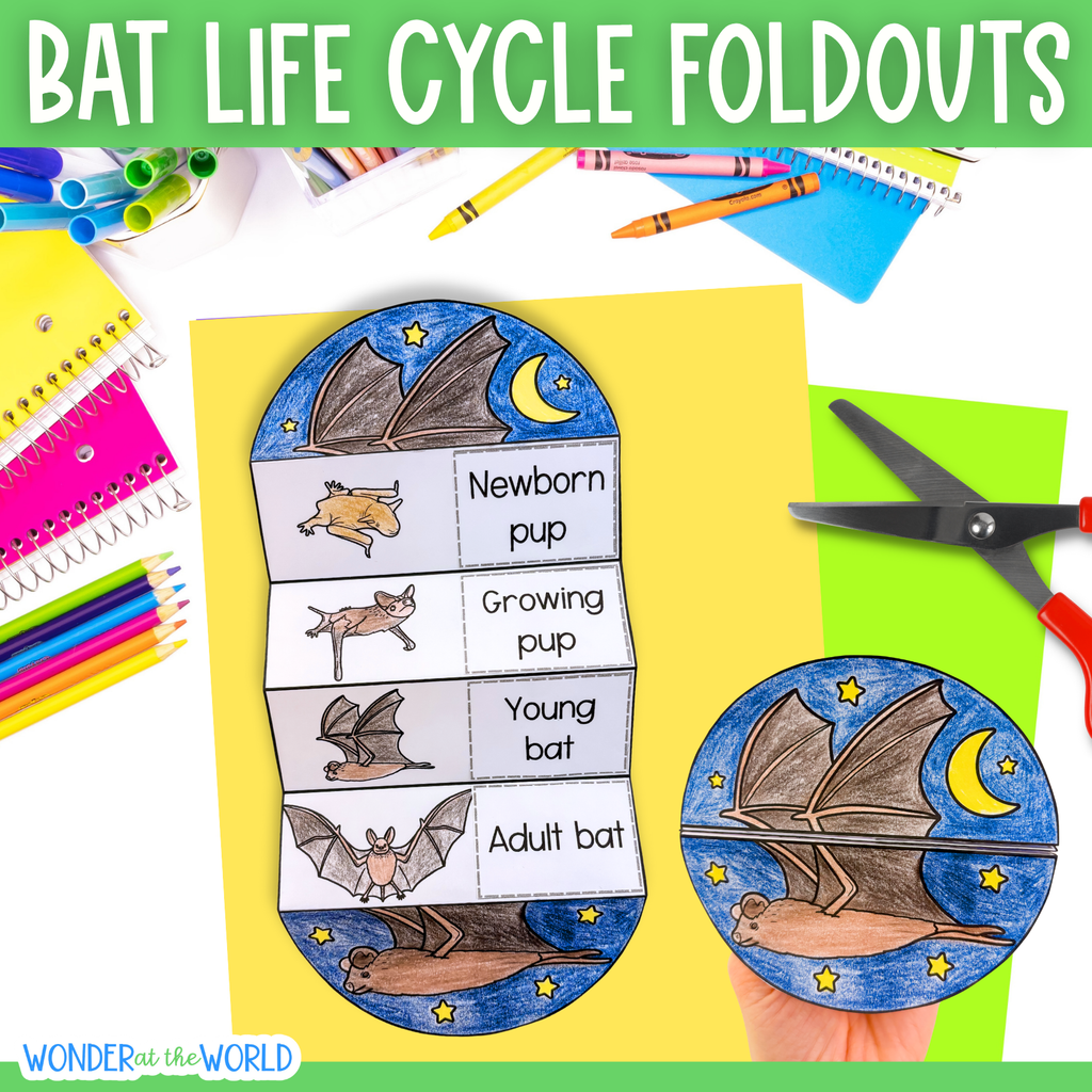 Life cycle of a bat mammal sequence and fold science craft activity