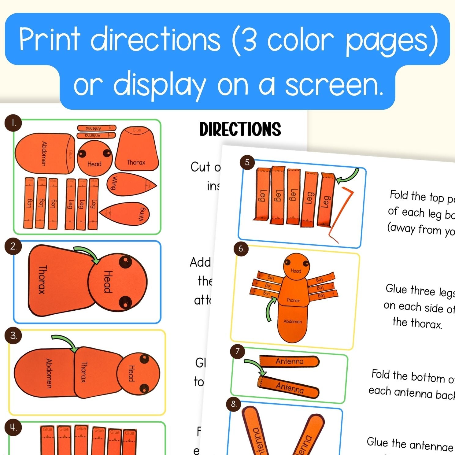 Body parts of an insect build a 3D bug science craft activity