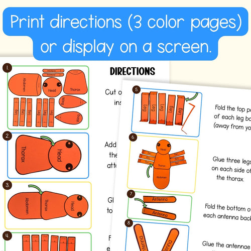 Body parts of an insect build a 3D bug science craft activity