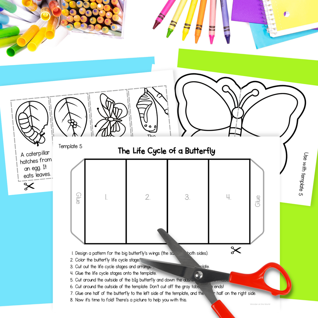 Butterfly life cycle sequence and fold science craft activity