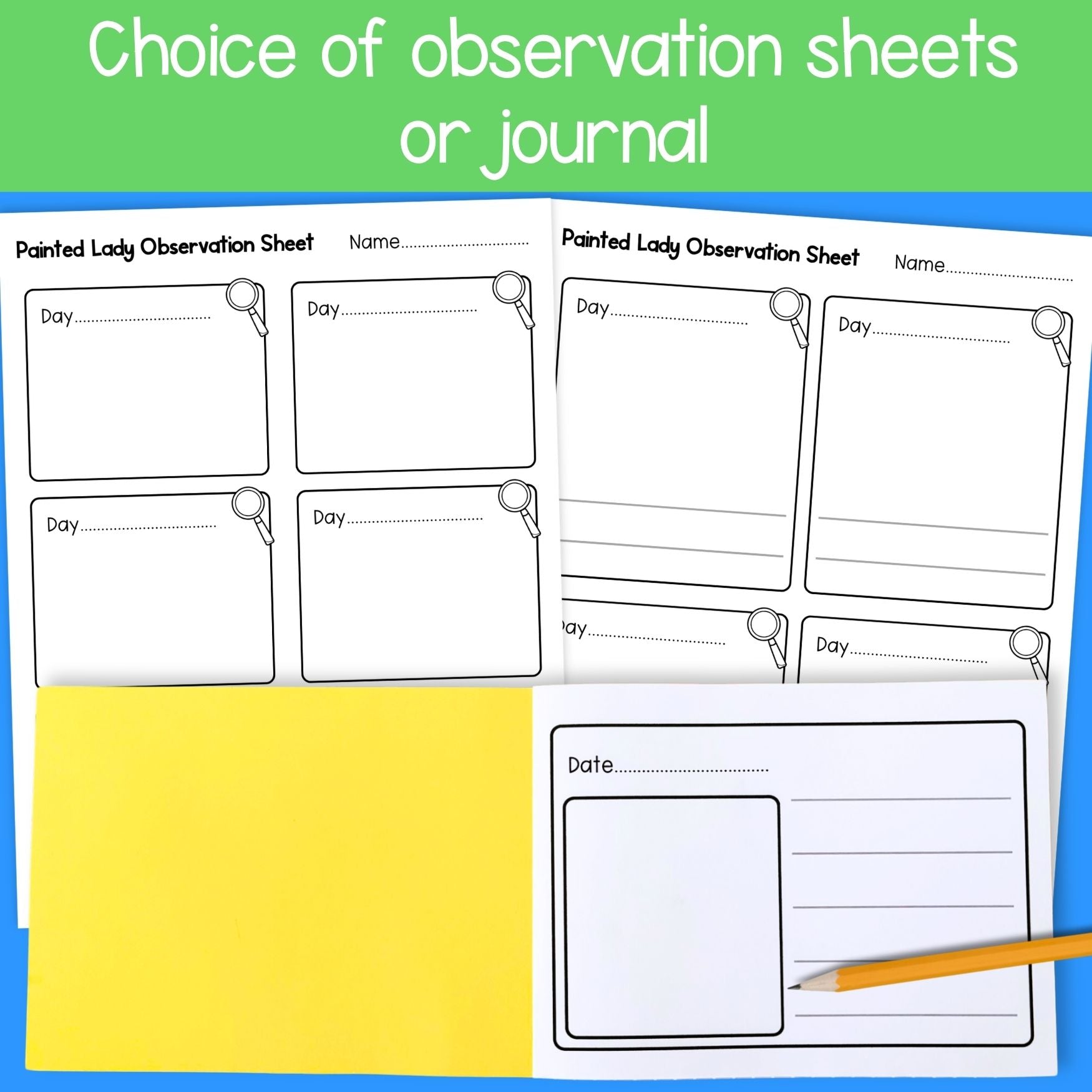 Painted lady butterfly caterpillar life cycle observation journal worksheets