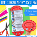 The heart and circulatory system sequence and fold science craft activity