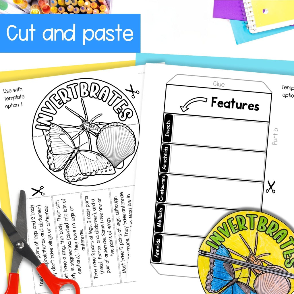 Invertebrates bugs insects classification cut and paste activities for interactive notebooks