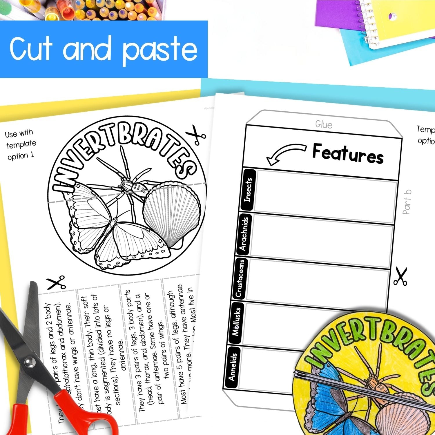 Invertebrates bugs insects classification cut and paste activities for interactive notebooks