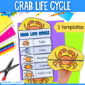Life cycle of a crab sequence and fold science craft activity