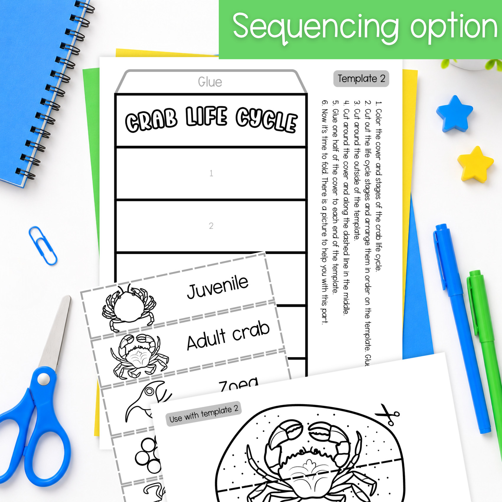 Life cycle of a crab sequence and fold science craft activity