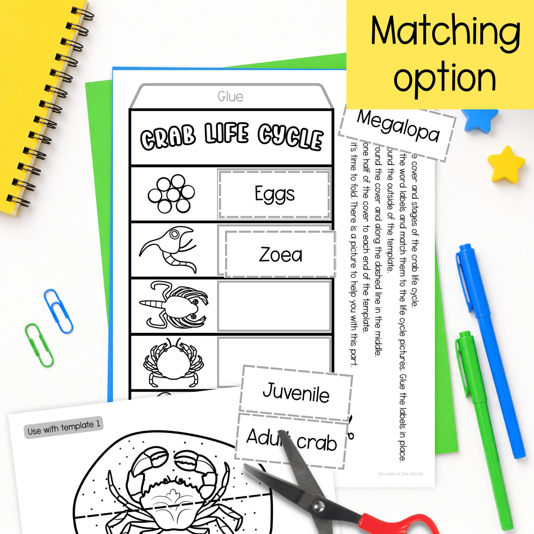 Life cycle of a crab sequence and fold science craft activity