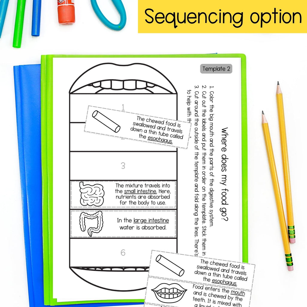 The digestive system sequence and fold science craft activity - mouth