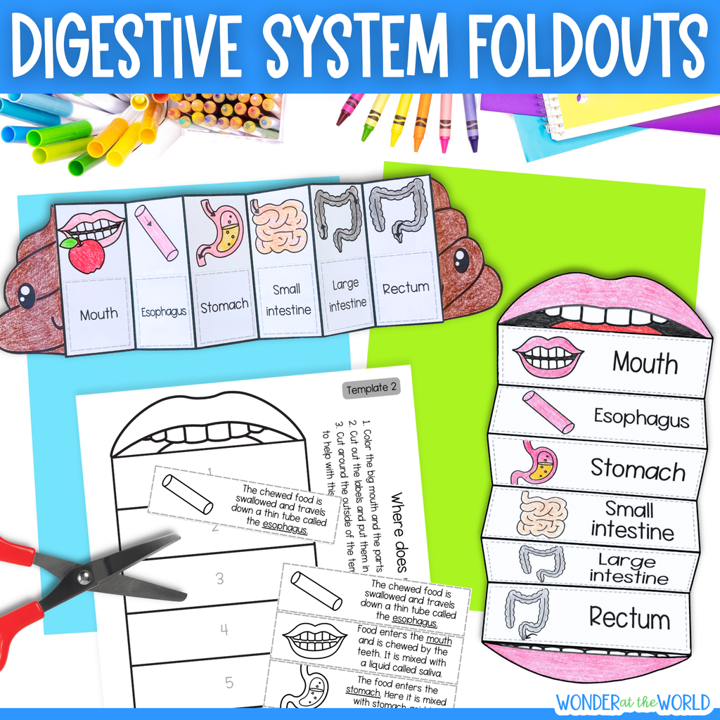 Digestive system sequencing cut and paste activity with mouth and poop templates