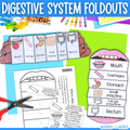 Digestive system sequencing cut and paste activity with mouth and poop templates