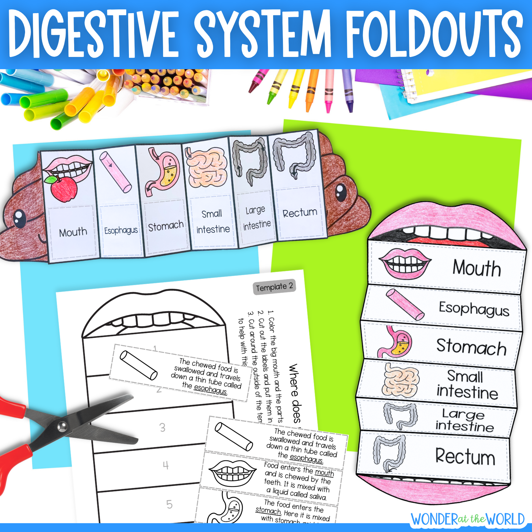 Digestive system sequencing cut and paste activity with mouth and poop templates