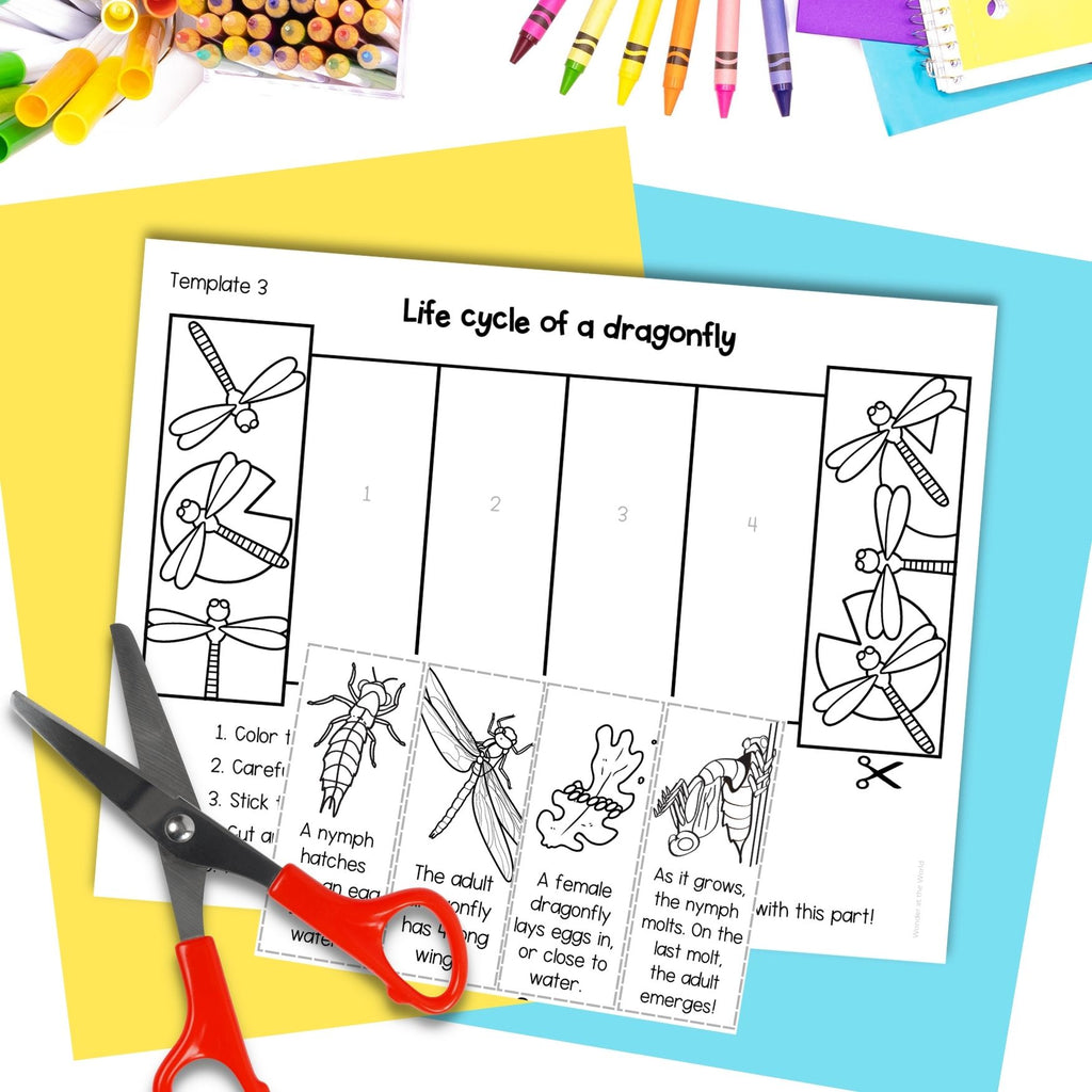 Dragonfly life cycle sequence and fold science craft activity