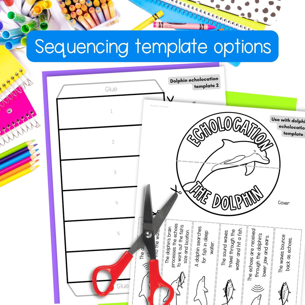 Animal echolocation sequence and fold science craft activity
