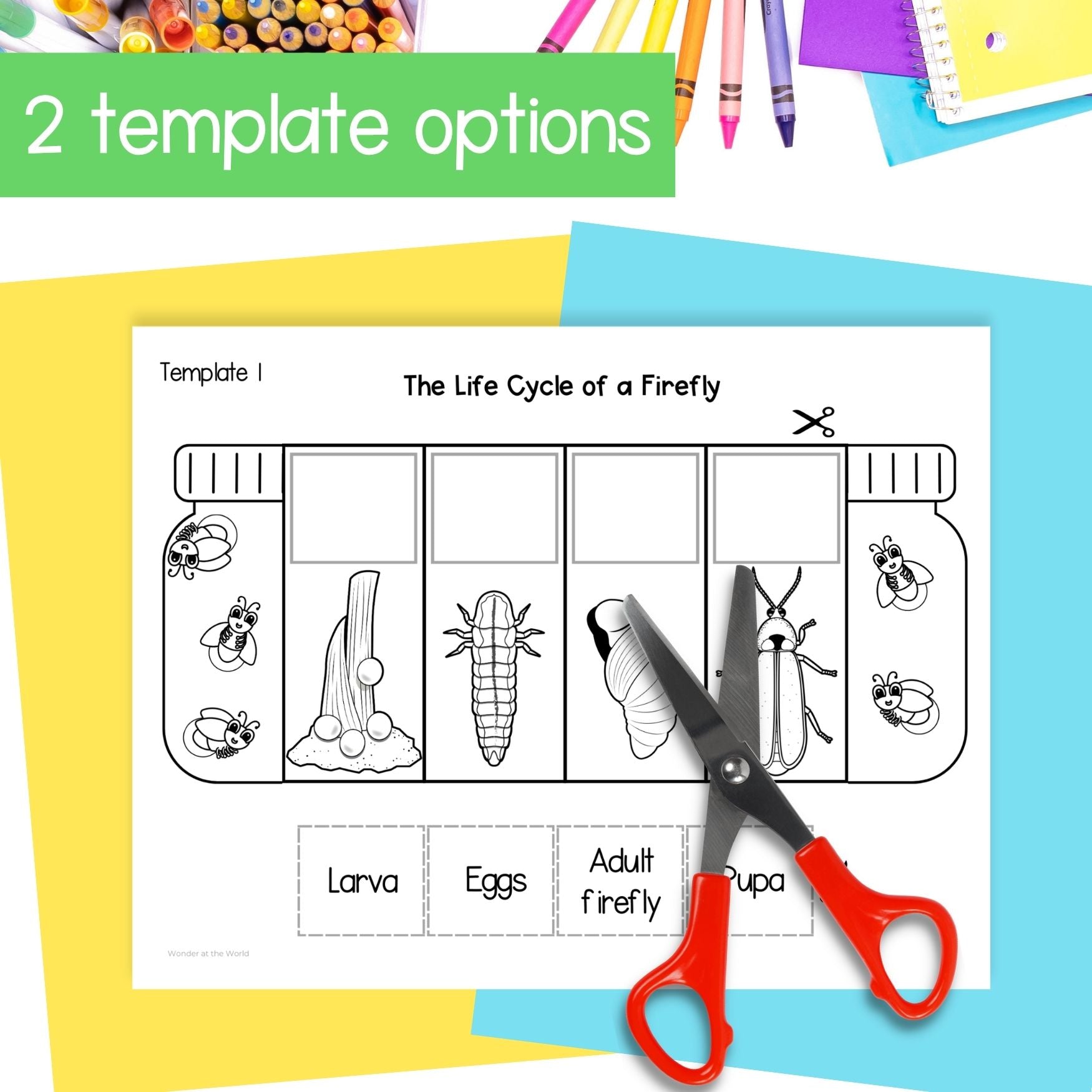 Life cycle of a firefly sequence and fold summer science craft activity