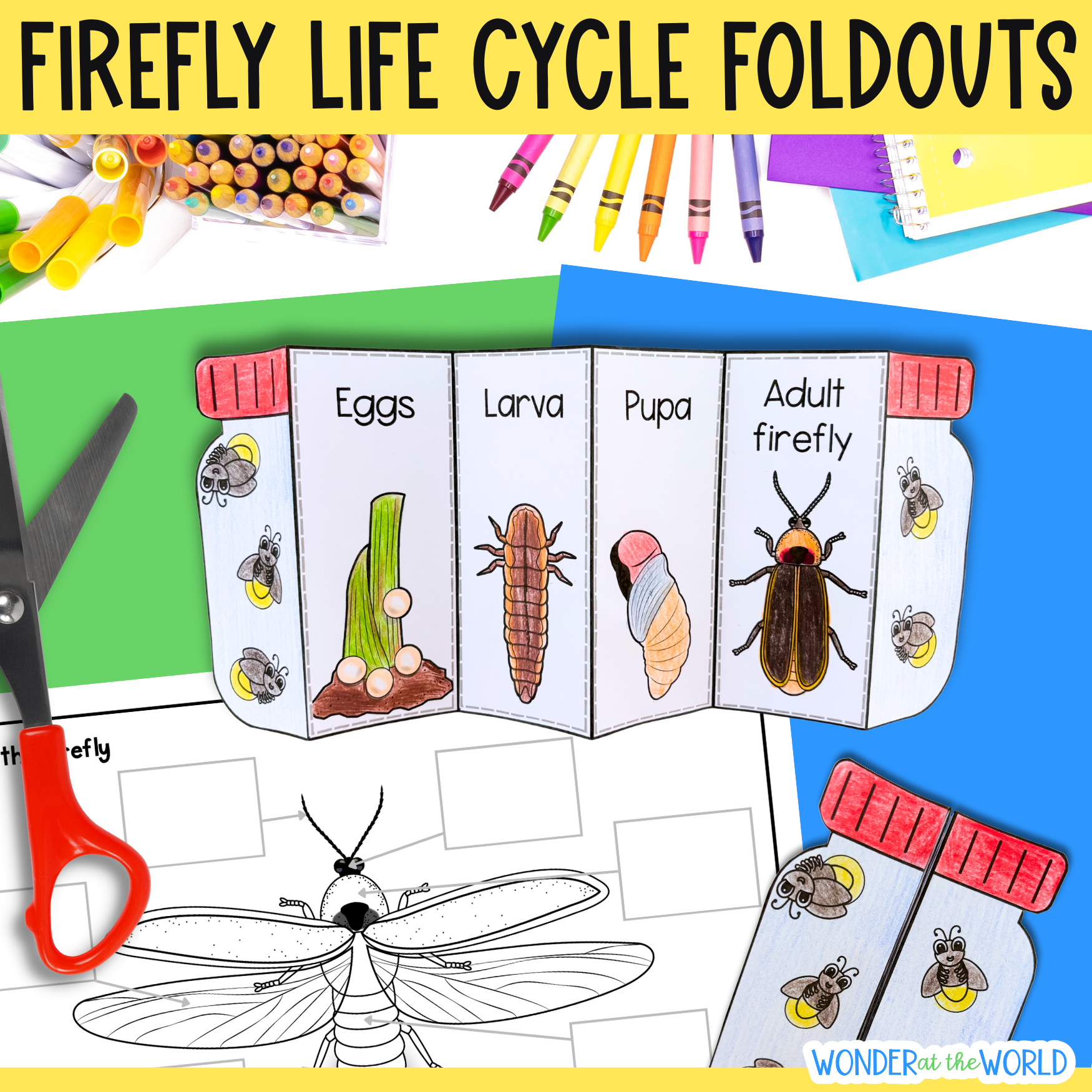 Life cycle of a firefly sequence and fold summer science craft activity