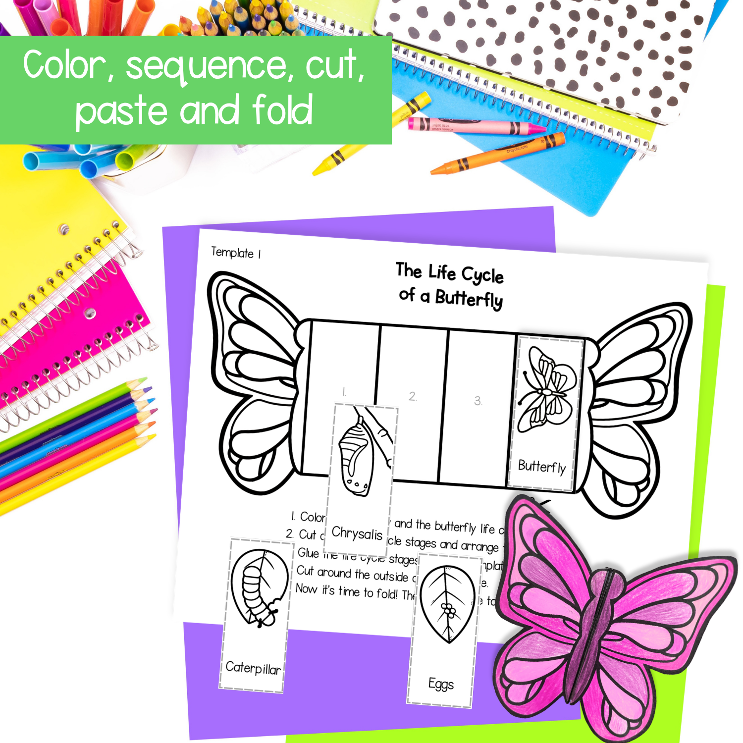 Butterfly life cycle sequence and fold science craft activity