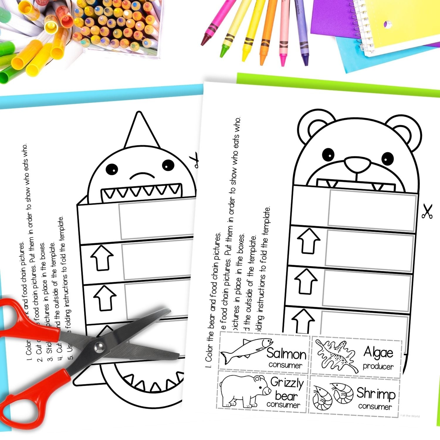 Food chains animal craft sequence and fold activity cut & paste shark bear lion