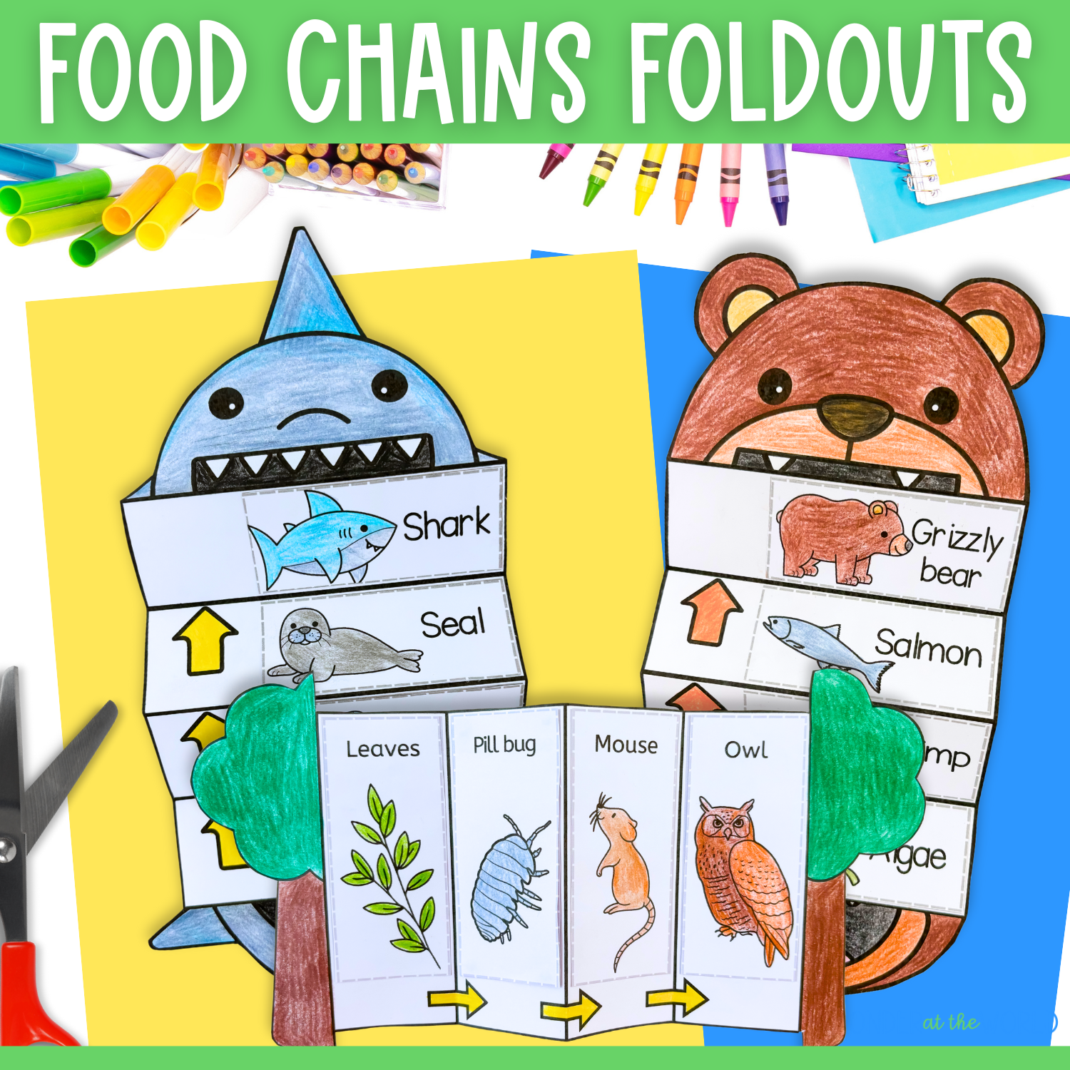 Food chains cut and paste sequence and fold activities